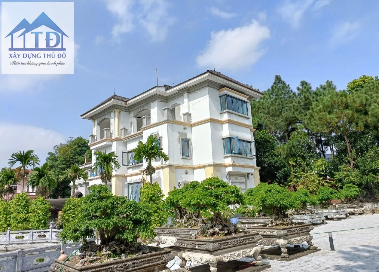 dich-vu-son-chong-tham-tuong-nha-chuyen-nghiep-tai-phuong-yen-hoa-ha-noi